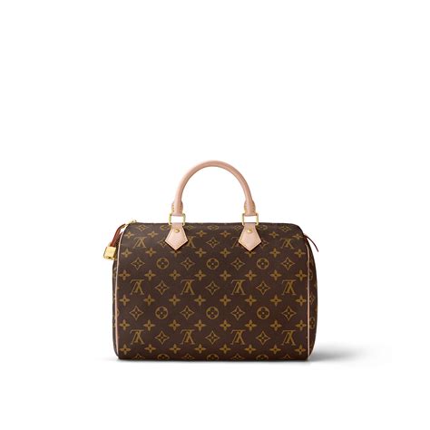 louis vuitton speedy monogram canvas